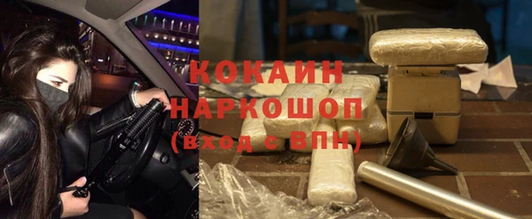 сатива Аркадак