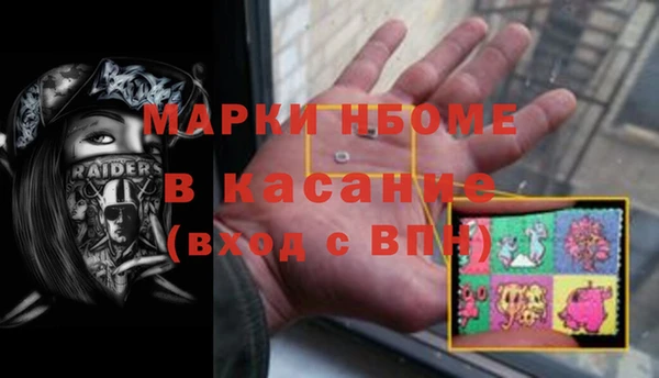 сатива Аркадак
