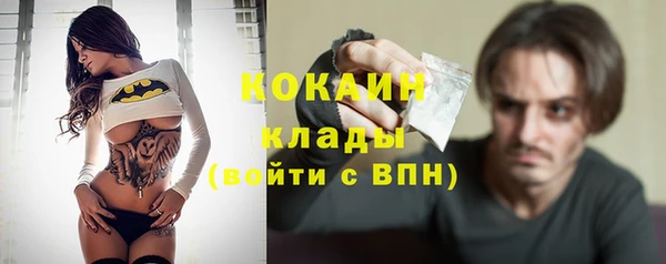 сатива Аркадак