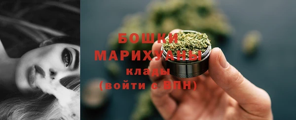 сатива Аркадак