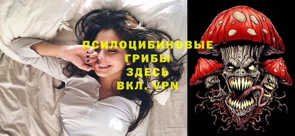 сатива Аркадак
