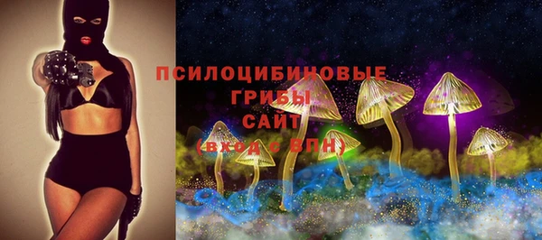 сатива Аркадак