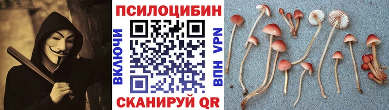 Галлюциногенные грибы мухоморы  Уржум 
