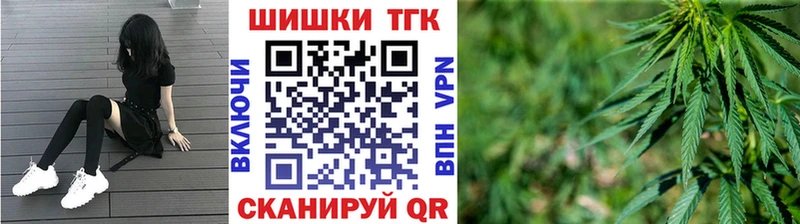 Конопля гибрид Уржум